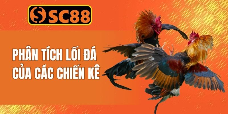 Bí kíp chọi gà cựa dao dựa vào cách phân tích lối đá