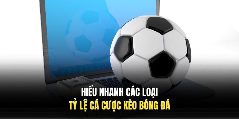 Hiểu nhanh các loại tỷ lệ cá cược kèo bóng đá