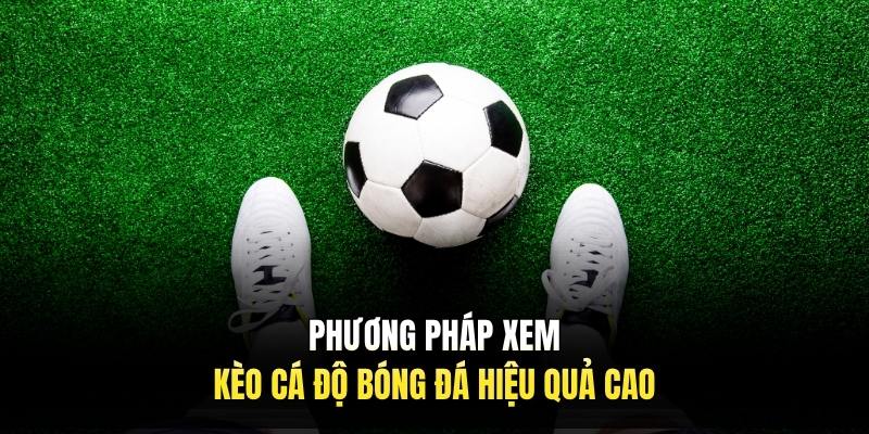Phương pháp xem kèo cá độ bóng đá hiệu quả cao