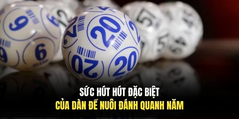 Sức hút hút đặc biệt của dàn đề nuôi đánh quanh năm