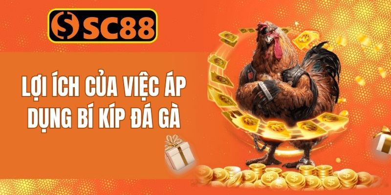 Tầm quan trọng khi áp dụng bí kíp đặt cược chọi gà cựa dao