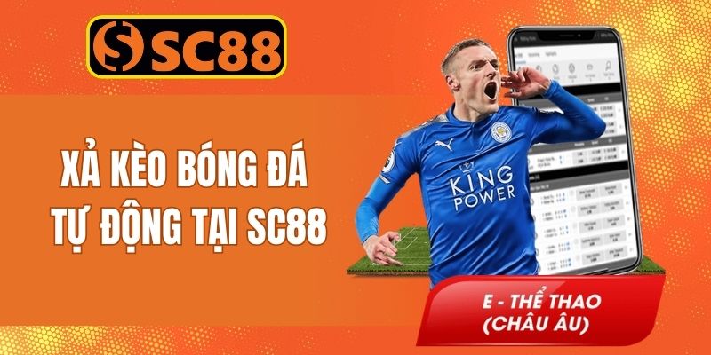 Thông tin về cách xả kèo tự động được săn đón rầm rộ năm 2026