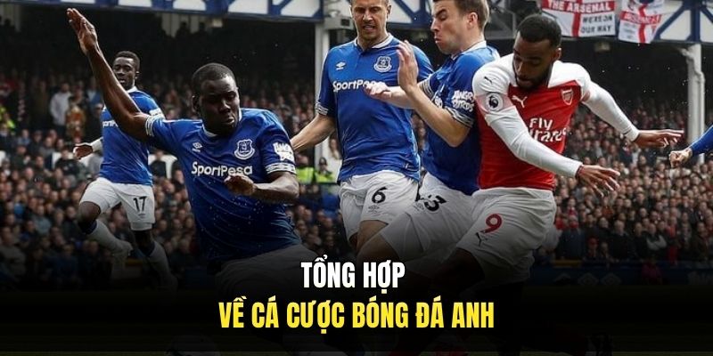 Tổng hợp về cá cược bóng đá anh